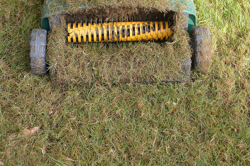 Our Blog Dethatching what is it and why your turf needs it